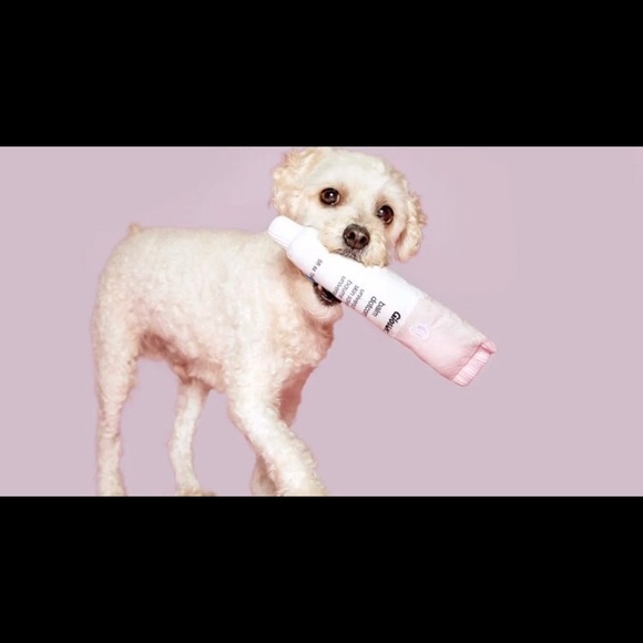 Glossier Dog Toys - Picture 7 of 8